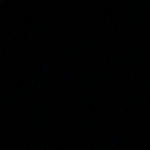 Meet your Posher, Sophia